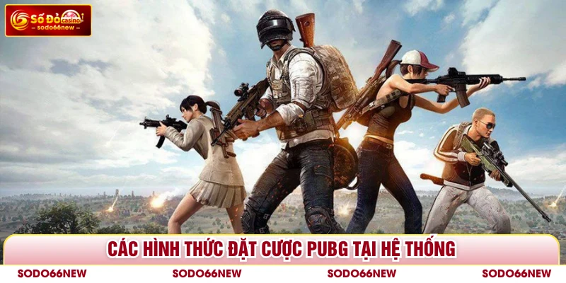 Các hình thức đặt cược PUBG tại hệ thống
