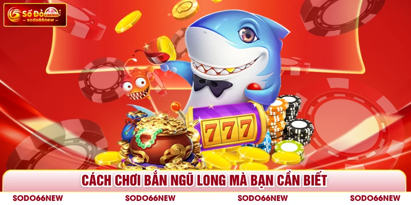 Cách chơi bắn Ngũ Long mà bạn cần biết