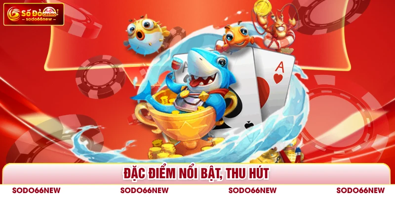 Đặc điểm nổi bật, thu hút