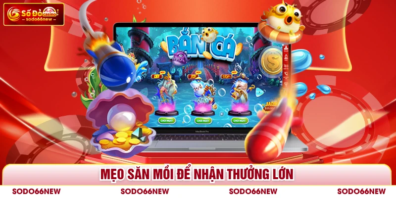 Mẹo săn mồi để nhận thưởng lớn