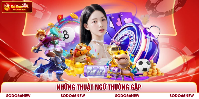 Những thuật ngữ thường gặp