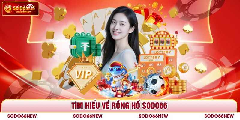 Tìm hiểu về Rồng Hổ SODO66