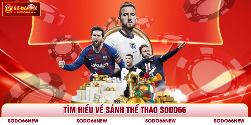 Tìm hiểu về sảnh thể thao SODO66