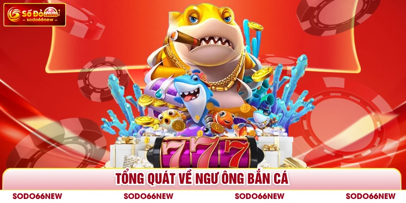 Tổng quát về ngư ông bắn cá